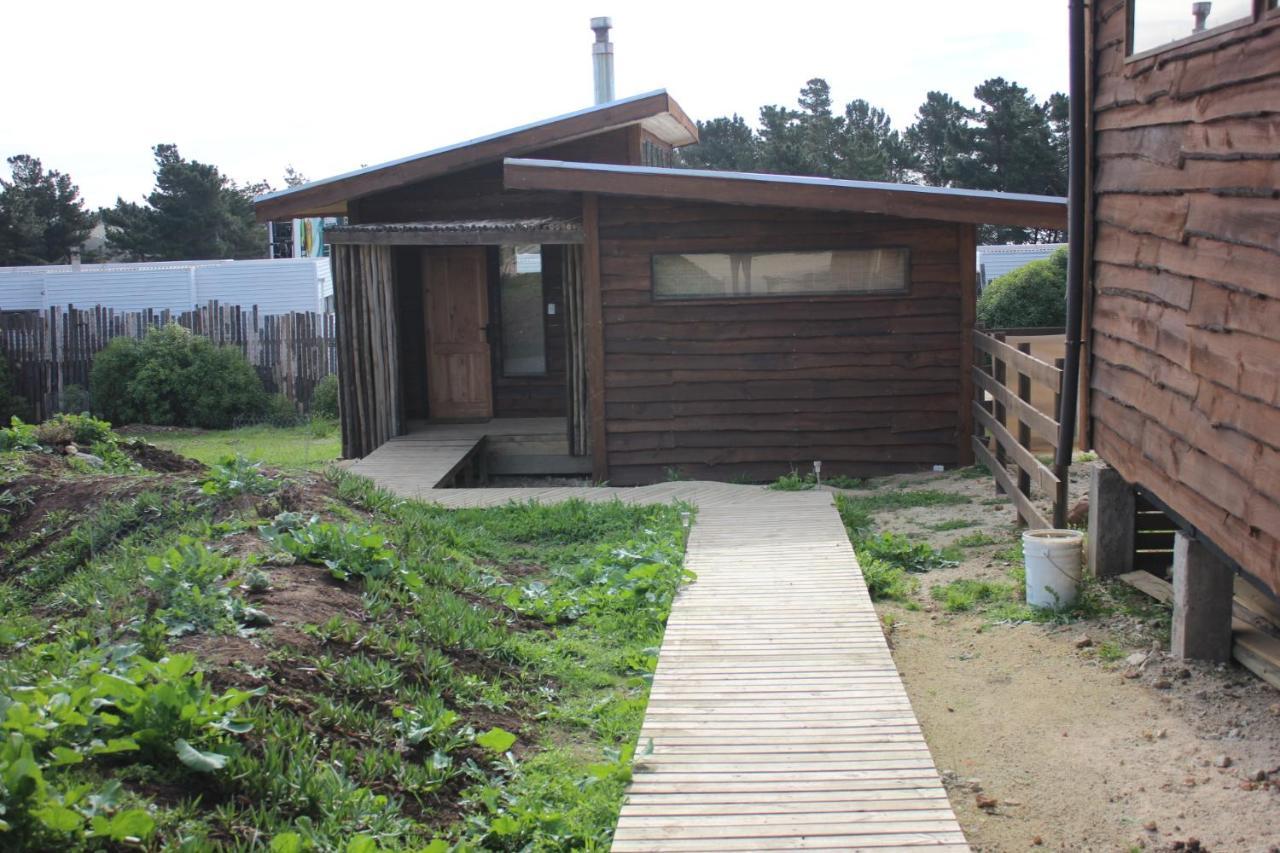 Cabañas Grulla Pichilemu Dış mekan fotoğraf
