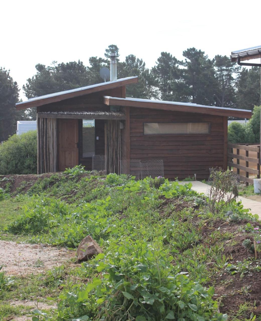 Cabañas Grulla Pichilemu Dış mekan fotoğraf