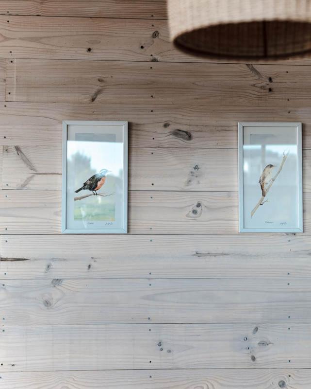 Cabañas Grulla Pichilemu Dış mekan fotoğraf